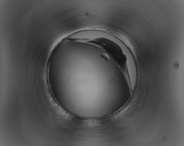 X0000089410952200707131758