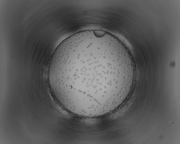 X0000089410953200707131758