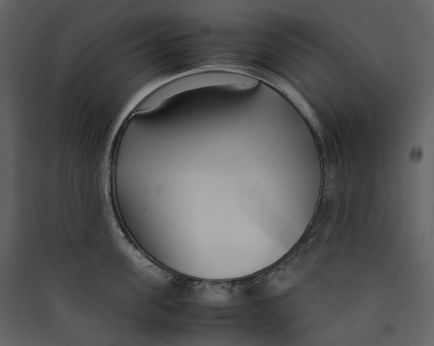 X0000089410955200707131758