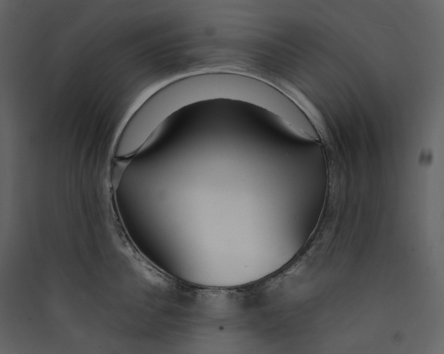 X0000089410956200707131758