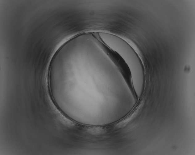 X0000089410957200707131758