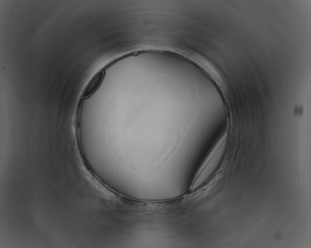X0000089410958200707131758