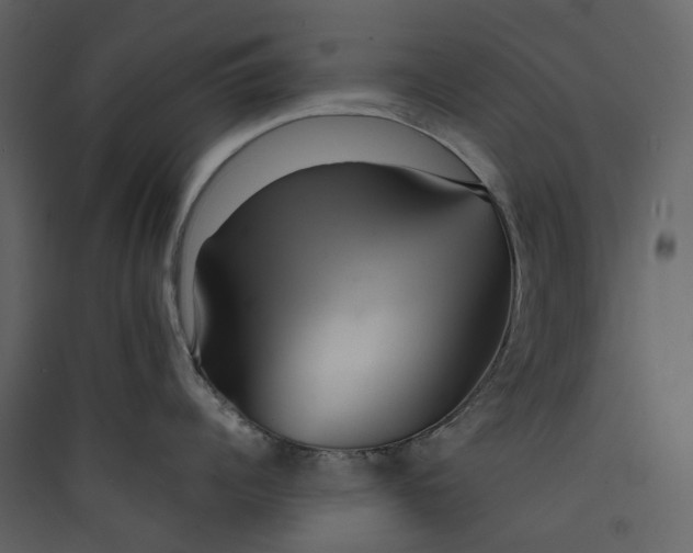 X0000089410960200707131758