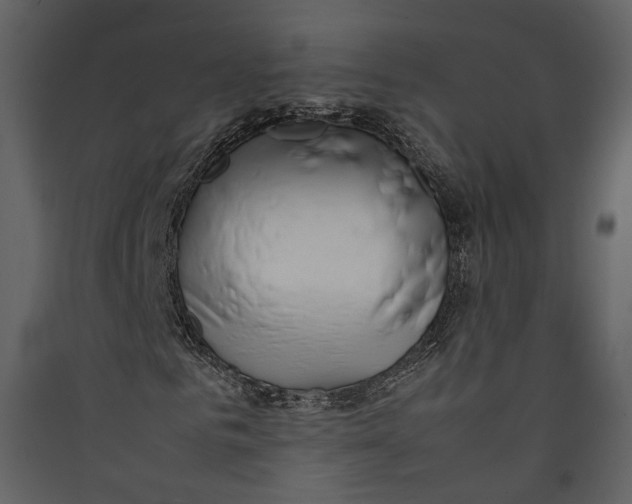 X0000089410961200707131757