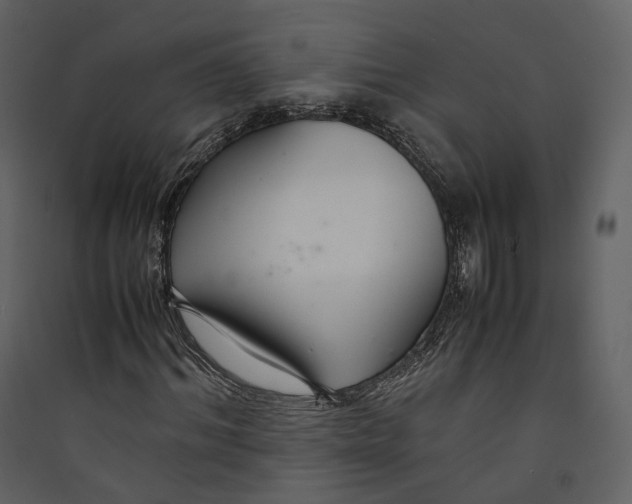 X0000089410964200707131757