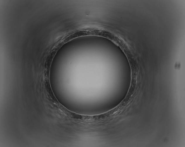 X0000089410965200707131757
