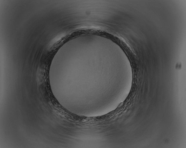 X0000089410967200707131757