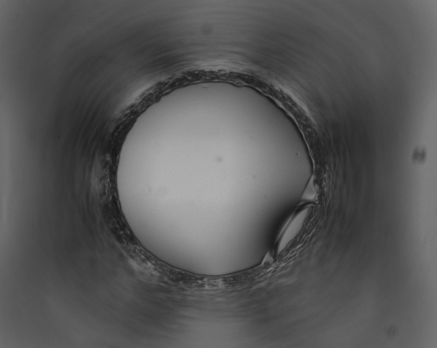 X0000089410968200707131757