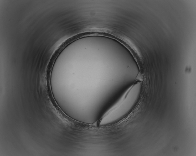 X0000089410972200707131757