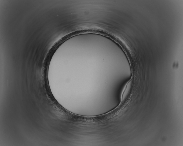 X0000089410975200707131757