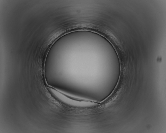 X0000089410977200707131757