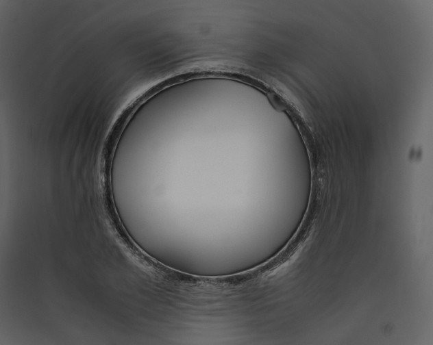 X0000089410981200707131757