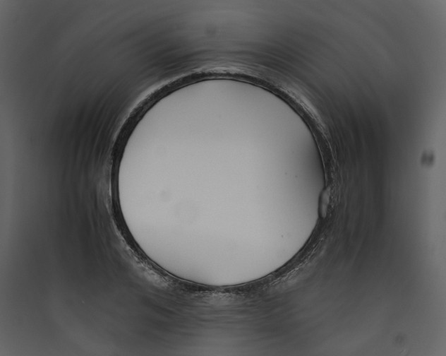 X0000089410984200707131757