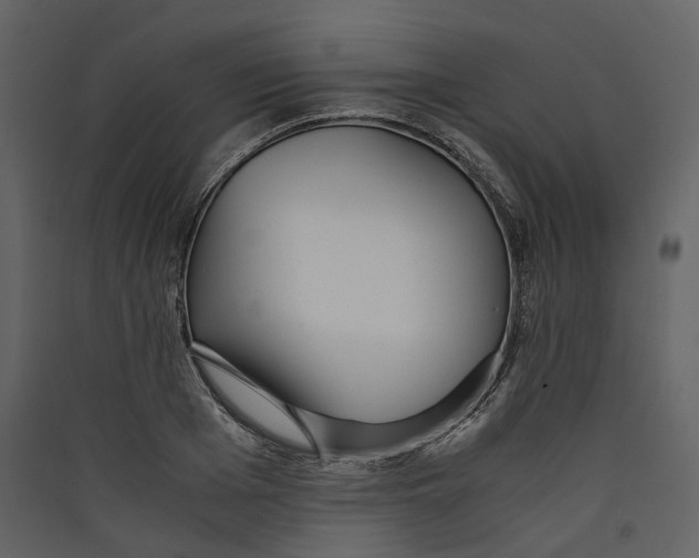 X0000089410985200707131757