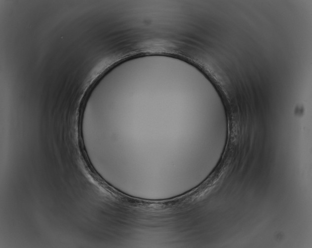 X0000089410986200707131757