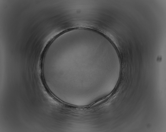 X0000089410987200707131757