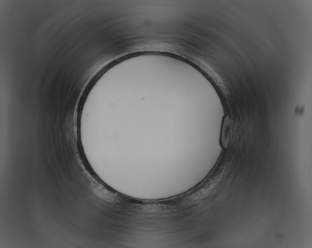 X0000089410988200707131757