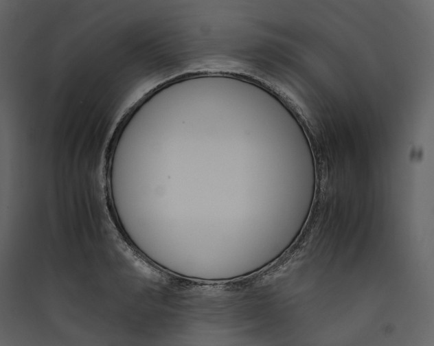 X0000089410990200707131757