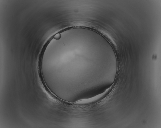 X0000089410991200707131757