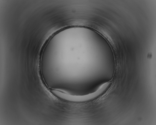 X0000089410992200707131757