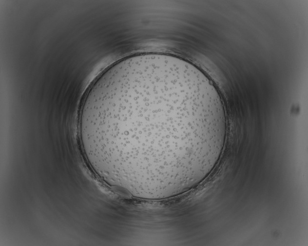X0000089410994200707131757