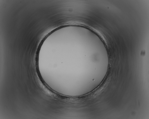 X0000089410995200707131757