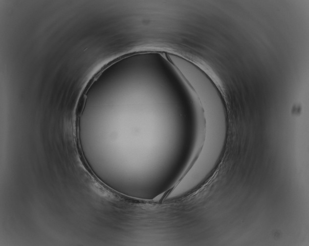 X0000089410996200707131757