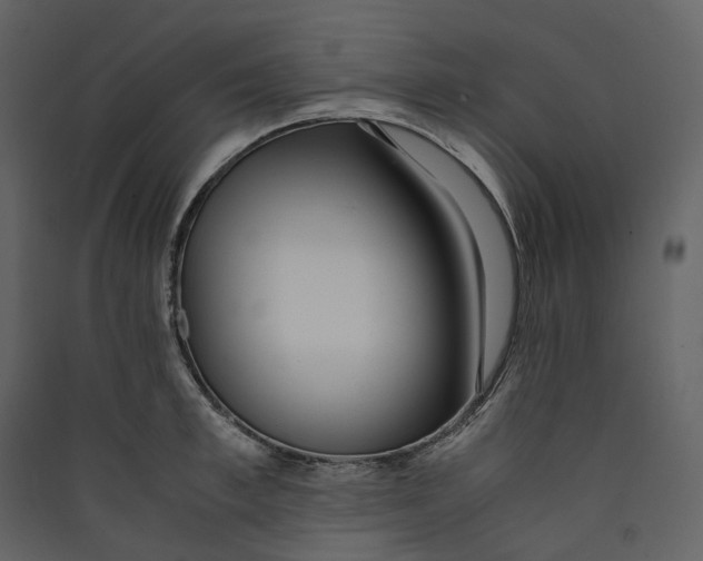 X0000089410997200707131757