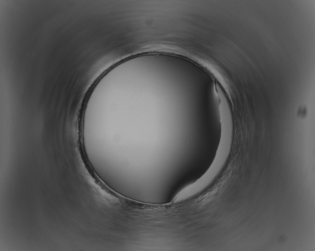 X0000089410999200707131757