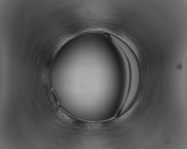 X0000089411001200707131757