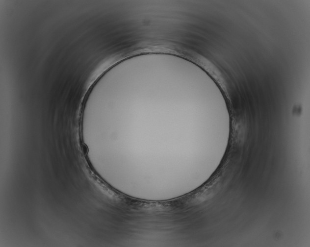 X0000089411002200707131757