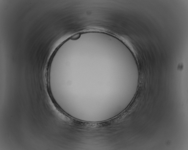 X0000089411003200707131757
