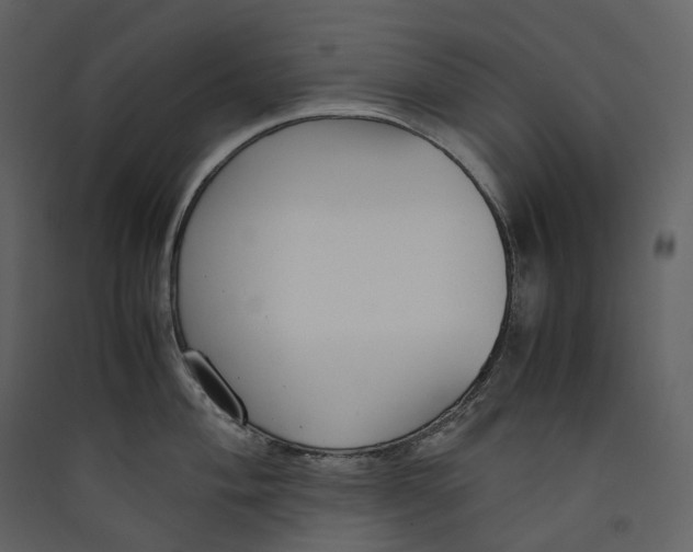 X0000089411004200707131757