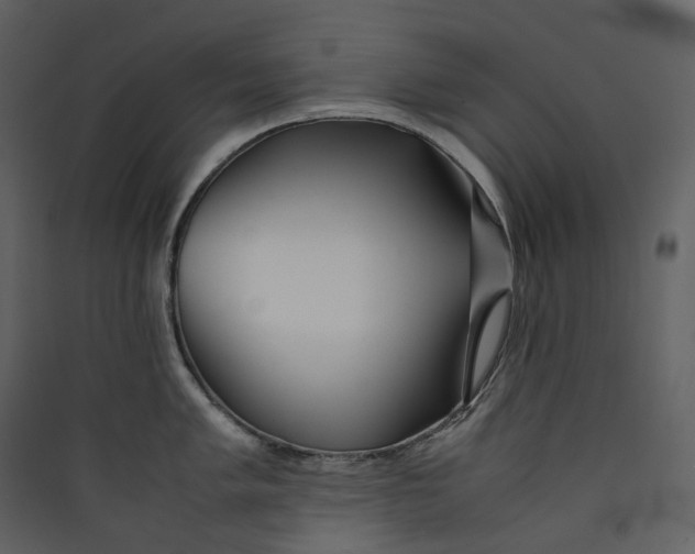 X0000089411005200707131757