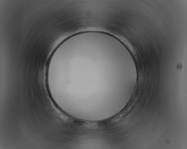 X0000089411006200707131757