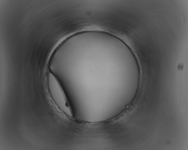 X0000089411008200707131757