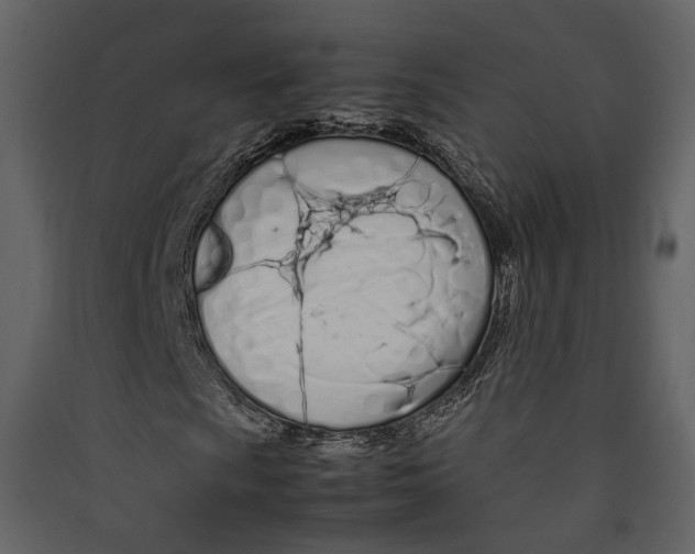 X0000089411009200707131756
