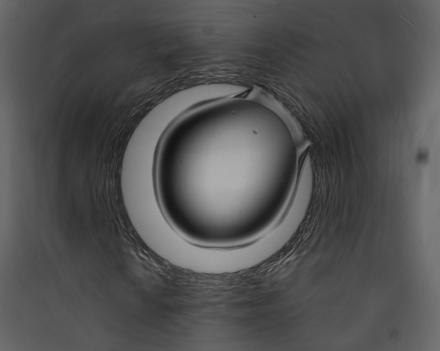 X0000089411010200707131756