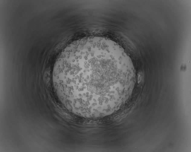 X0000089411011200707131756