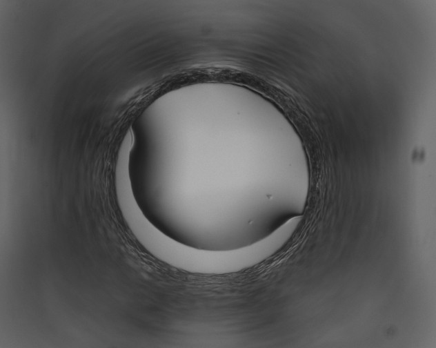 X0000089411014200707131756