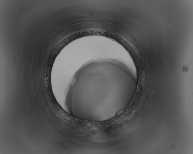 X0000089411015200707131756