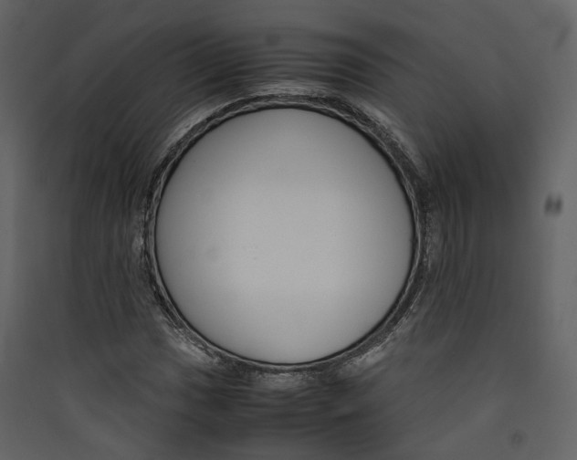 X0000089411017200707131756