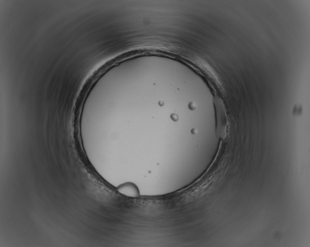 X0000089411020200707131756