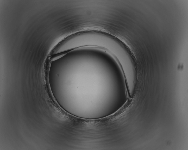 X0000089411022200707131756