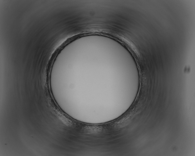 X0000089411023200707131756