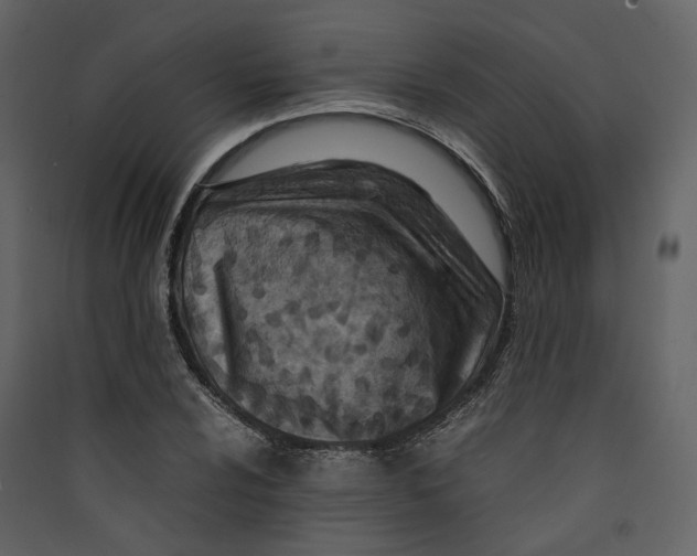 X0000089411024200707131756