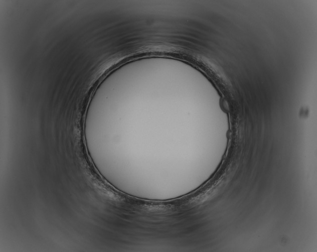 X0000089411025200707131756
