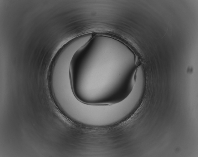X0000089411026200707131756