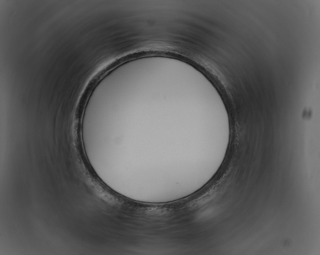 X0000089411029200707131756