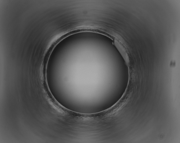 X0000089411030200707131756